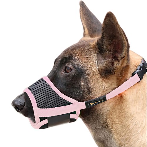 Maulkorb für hunde - für,