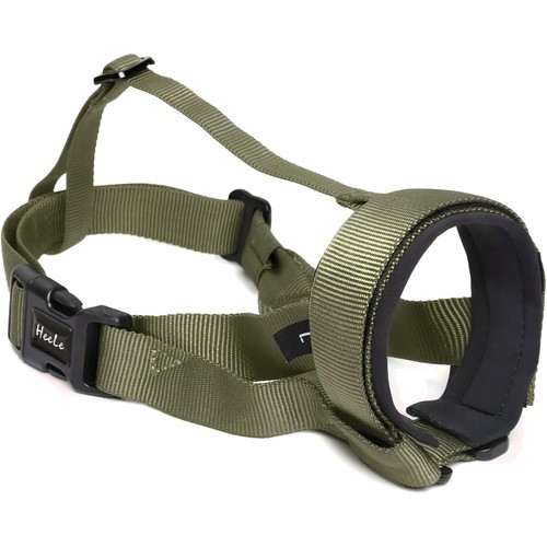 Hund maulkorb katzen - hund,