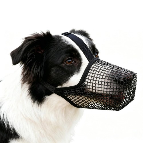 Hunde maulkorb netzgewebe - hunde,