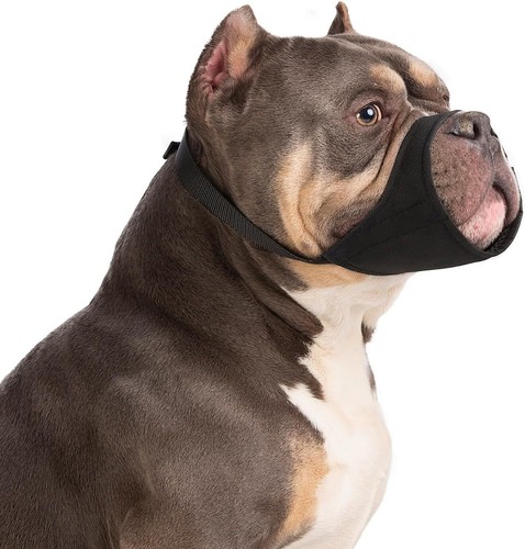 Hundemaulkorb für pitbull - hundemaulkorb,
