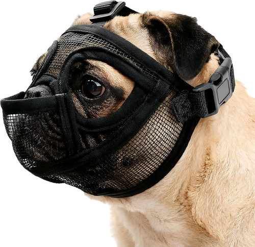 Maulkorb für kleine hunde - für,