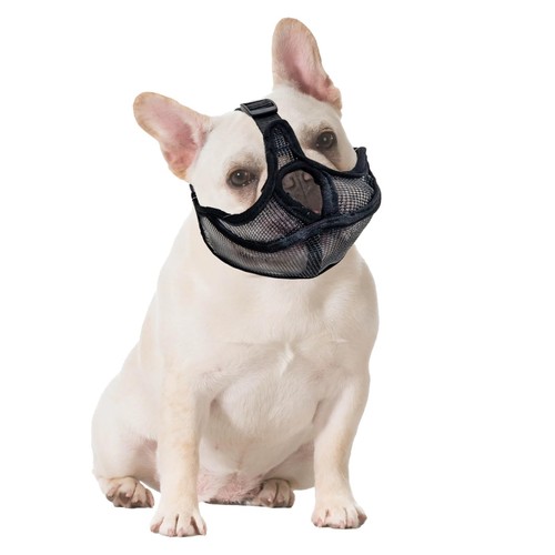 Hunde maulkorb kurze schnauze - hunde,