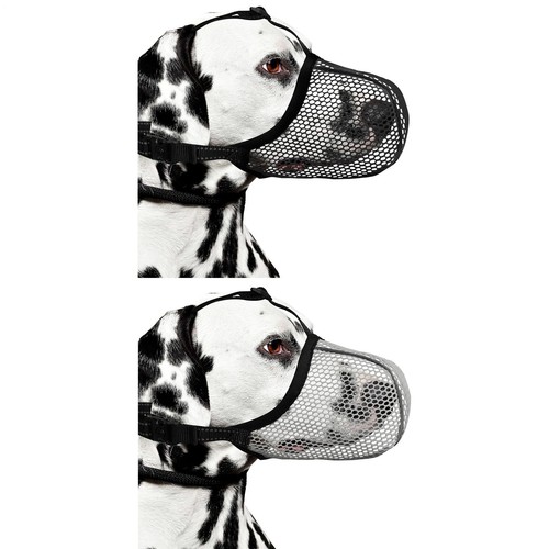 Haustier hund maulkorb - haustier,