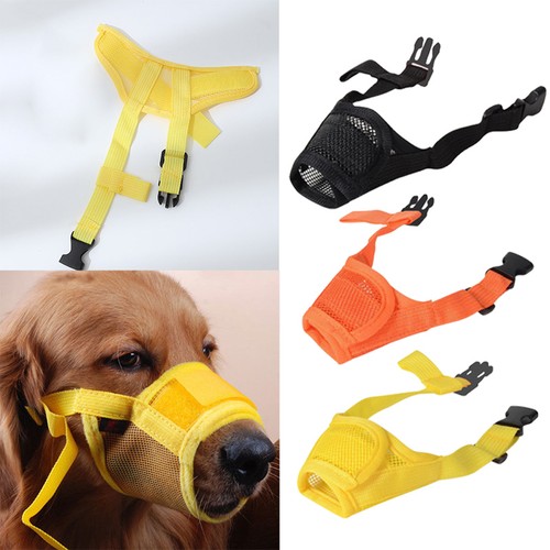 Nylon kleine hunde - nylon,