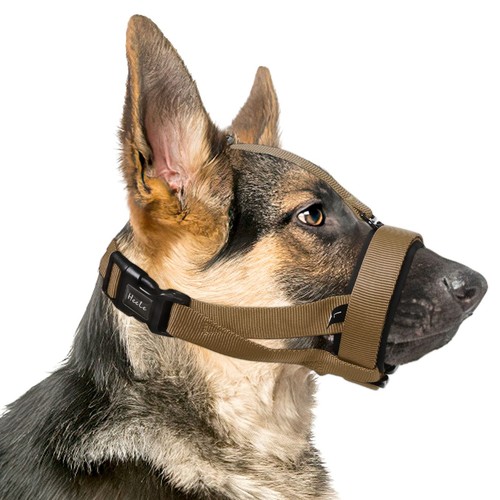 Maulkorb für hund mit - maulkorb,