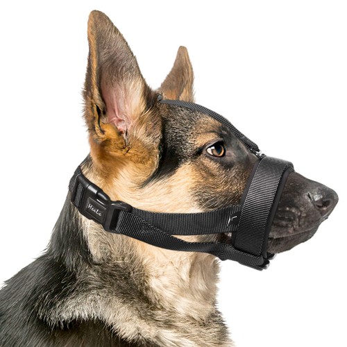 Maulkorb für hund mit - maulkorb,