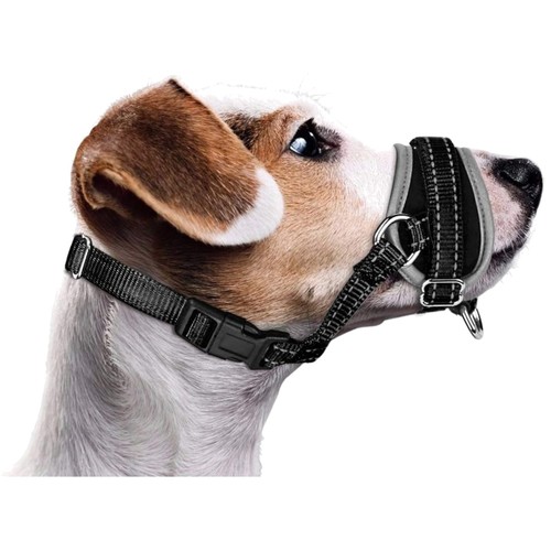 Hund maulkorb - hund,