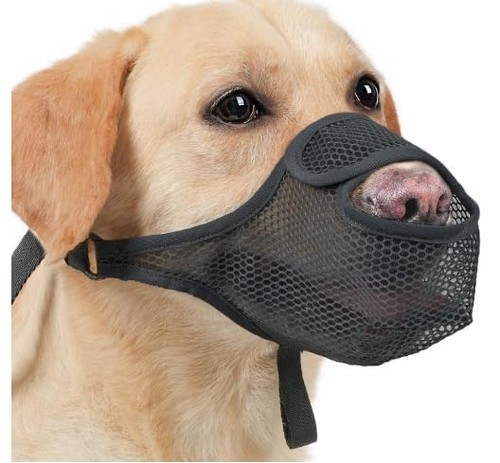 Maulkorb mittlere hundes nylon - hundes,