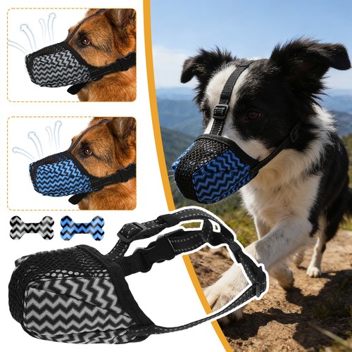 Hundemaulkorb giftköder - hundemaulkorb,