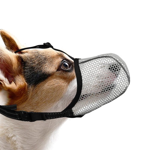 Maulkorb für hunde - maulkorb,