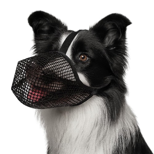 Hund maulkorb atmungsaktiv - maulkorb,