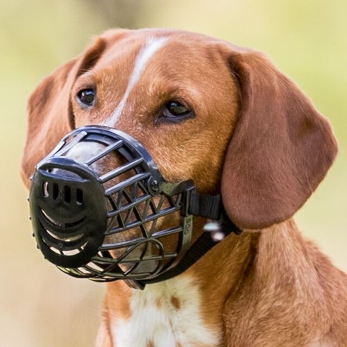 Trixie maulkorb für hunde - maulkorb,