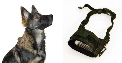 Maulkorb nylon hund - maulkorb,
