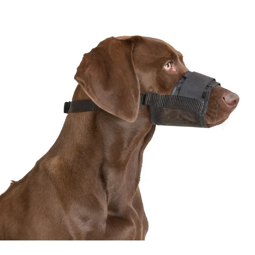 Kerbl leichter hunde maulkorb - hunde,