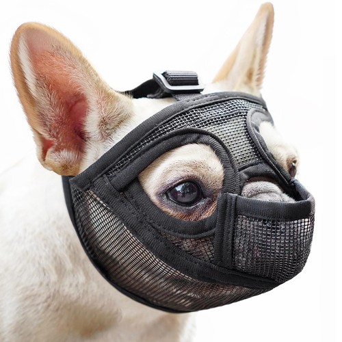 Hundemaulkorb mesh - hundemaulkorb,