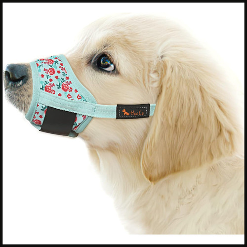 Maulkorb für hunde - für,