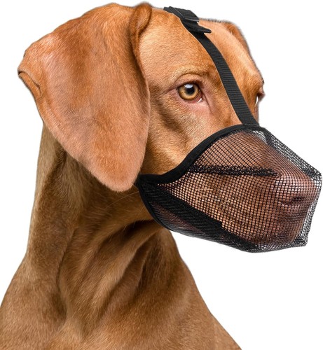 Maulkorb für hunde nylon - maulkorb,