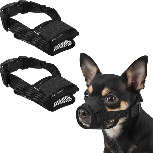 Kleiner hund maulkorb - hund,