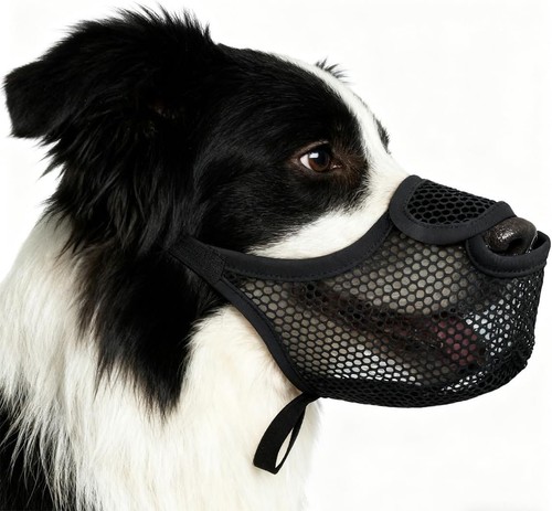 Maulkorb mittlere hunde - maulkorb,